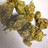 Cannabisblüten: Patientin kämpft weiter Cannabisblüten