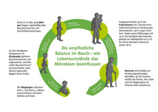 20170227 Grafik Iberogast Darmentwicklung