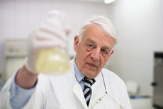 steffens3 kronen-apo kiel sebastian weimar