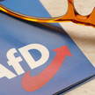 AfD-Spitzenkandidat sagt, wer in Sachsen-Anhalt eine Zukunft hat Symbolbild: AfD Flyer und Brille