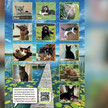 Hund und Katze: Apotheke adressiert Tierfreunde Hund und Katze: Apotheke adressiert Tierfreunde