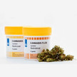 ADREXpharma® – verlässlicher Partner der Apotheken für Cannabisblüten