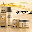 Olivenöl INTENSIV HAIR REPAIR von medipharma cosmetics