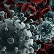 Corona: US-Ausschuss will Immunologen belangen Symbolbild: Corona Virus