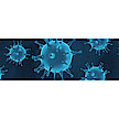Verdünnte Iota-Carrageen-Formulierung verringert Virus-Titer von SARS-CoV-2 um mehr als 99,99 Prozent