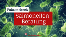 Salmonellen: Die wichtigsten Fakten im Überblick Salmonellen: Die wichtigsten Fakten im Überblick