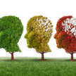 Alzheimer – eine schleichende Krankheit, die uns vergessen lässt