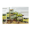 VITALIFE® Kosmetikprodukte aus natürlichem Olivenöl