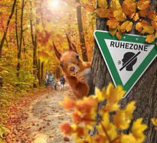 KRE-ASP-KEY-9 Hustenstiller LR