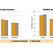 Ist Curcumin eine Alternative zu synthetischen Antiphlogistika?