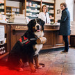 TI-Ausfälle: Gematik schickt Paw Patrol in Apotheken KI-Bild zeigt Hund in Apotheke
