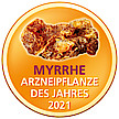 Myrrhe(nbaum) ist Arzneipflanze des Jahres 2021