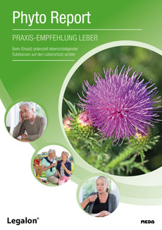 Phyto Report Legalon Praxis-Empfehlung Leber