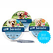 Seresto®: Bis zu acht Monate Zeckenschutz für Hunde und Katzen