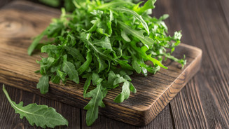 Salmonellose: Ausbruch durch Rucola?