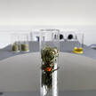 Neues Identifikationsverfahren von Ayna Analytics GmbH für Cannabisblüten/-extrakte für Apotheken