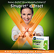 Nase dicht? Sinupret® eXtract gegen Symptome & Ursache!