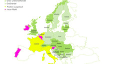 Die neue Phoenix Die neue Phoenix