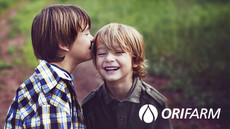 BN KW15 Orifarm Visual