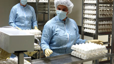 Impfstoffproduktion1b gsk Ein Blick in die Impfstoffproduktion