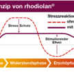 Studienergebnisse bestätigen positive Erfahrungswerte mit Rhodiola rosea