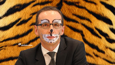 150730 aporetro maas Samtpfoten statt Krallen