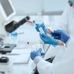 Gentherapie für Glykogenspeicherkrankheit Gentherapie für Glykogenspeicherkrankheit