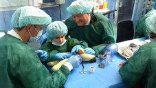 groehe teddyklinik twittergroehe Gröhe operiert Teddys