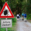 Nach Zeckenbiss: Mehr Borreliose-Fälle als im Vorjahr Nach Zeckenbiss: Mehr Borreliose-Fälle als im Vorjahr