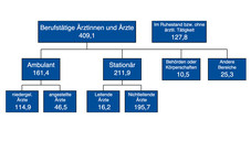 Ärzte sorgen sich um Berufsnachwuchs Ärzte sorgen sich um Berufsnachwuchs