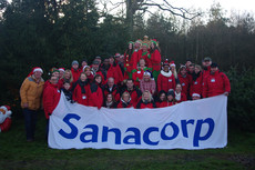 Sanacorp Christbaumschlagen Bliestorfer Forst