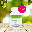 20 ausgesuchte Bakterienstämme plus B-Vitamine