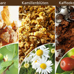 Myrrhe, Kamille und Kaffeekohle zeigen spasmolytische Wirkung/Empfehlenswert bei chronischen Darmerkrankungen
