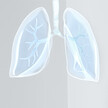 Webinar „Inhalationstherapie bei Asthma, Bronchitis & COPD“