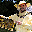 „Honig von Hevert“ oder „Die Faszination Bienen“