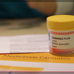 Cannabis OMK13-screenshot NDR-Visite: Nutzen und Risiken von Cannabis