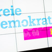 fdp170710 logo neu domma FDP fordert Suizidhilfe für unheilbar Kranke