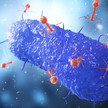 60 Empfehlungen: Leitlinie zur Phagentherapie Microbiology concept. Bacteriophages attack cell on a blurred background. 3d illustration