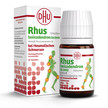 NEU: Rhus toxicodendron D6 DHU bei rheumatischen Schmerzen