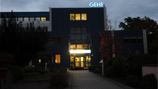 gehe nacht eh Gehe ringt mit dem Feuervogel