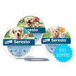 Seresto®: Bis zu acht Monate Zeckenschutz für Hunde und Katzen Seresto®: Bis zu acht Monate Zeckenschutz für Hunde und Katzen