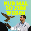 Ärzte lassen Falken steigen Ärzte lassen Falken steigen