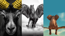 Mufflon, Pegasos & Co. Mufflon, Pegasos & Co.