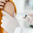 FSME-Impfung: Immunisierung durch Apotheken FSME-Impfung: Immunisierung durch Apotheken