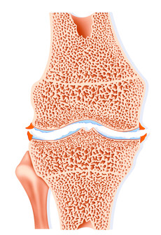 MT Mini-Advertorial 3 Bild