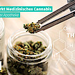 Mehrheit in Apothekenteams pro Cannabis-Legalisierung